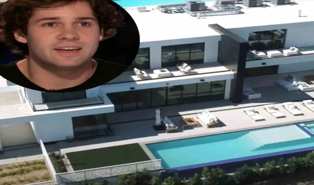 david dobrik new house