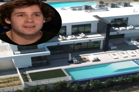 david dobrik new house