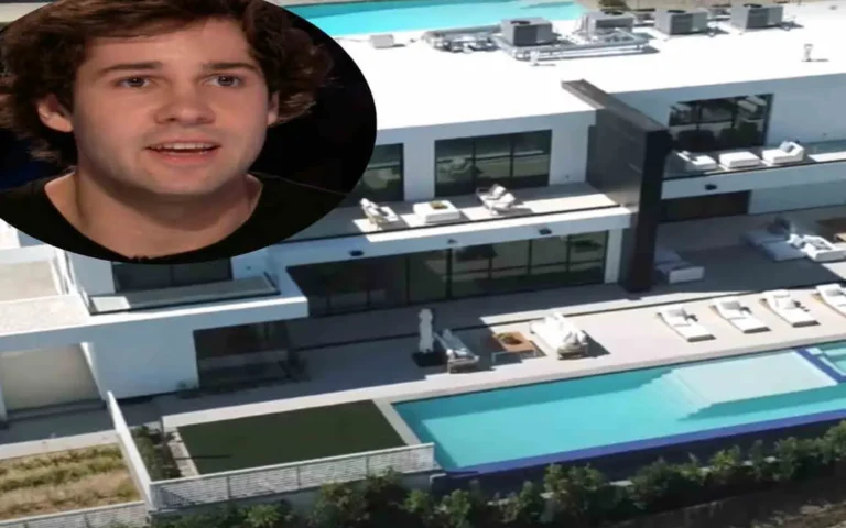 david dobrik new house