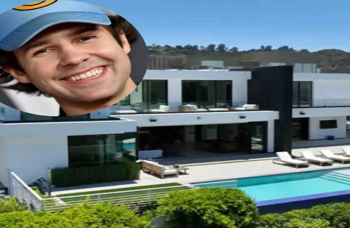 david dobrik new house