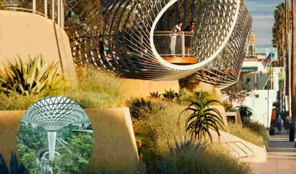 landscape architecture