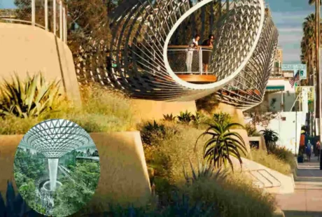 landscape architecture