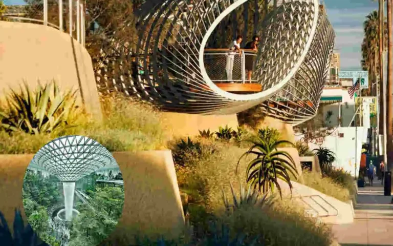 landscape architecture